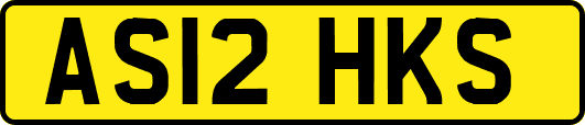 AS12HKS