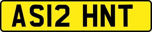 AS12HNT