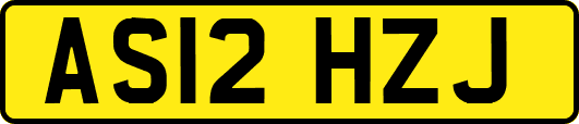 AS12HZJ