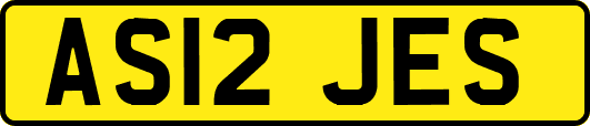 AS12JES