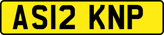 AS12KNP