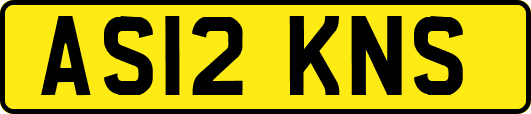AS12KNS