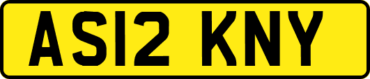 AS12KNY
