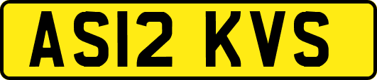 AS12KVS