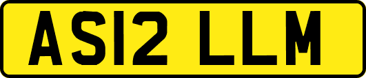 AS12LLM