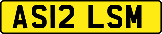 AS12LSM