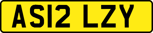AS12LZY