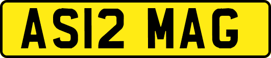 AS12MAG