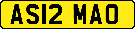 AS12MAO