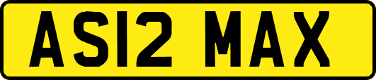 AS12MAX