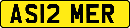 AS12MER