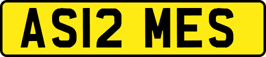 AS12MES