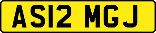 AS12MGJ