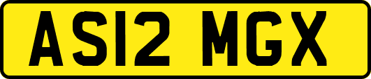 AS12MGX