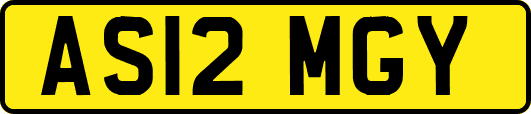 AS12MGY