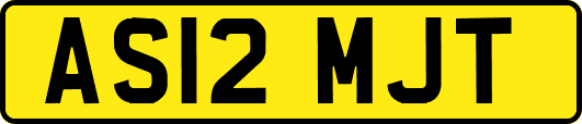 AS12MJT