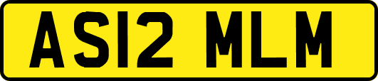 AS12MLM