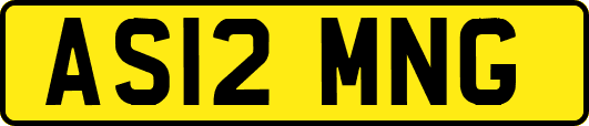 AS12MNG