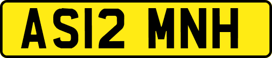 AS12MNH