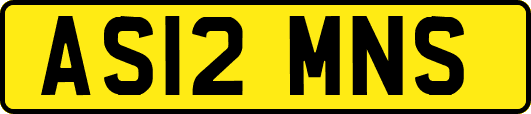 AS12MNS