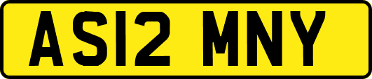 AS12MNY
