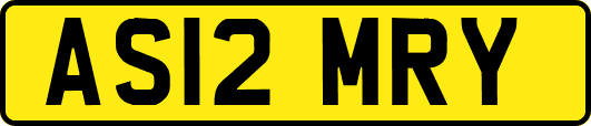 AS12MRY