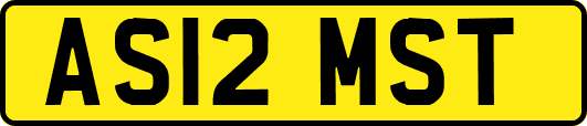 AS12MST