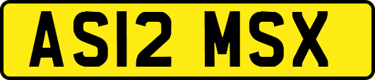 AS12MSX