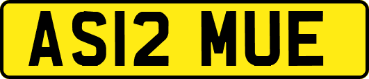AS12MUE