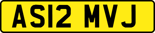 AS12MVJ