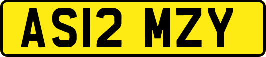 AS12MZY