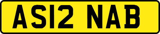 AS12NAB