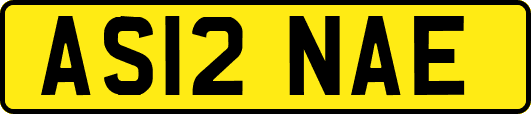 AS12NAE