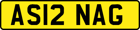 AS12NAG