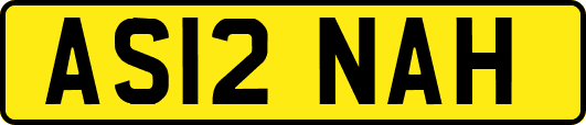 AS12NAH