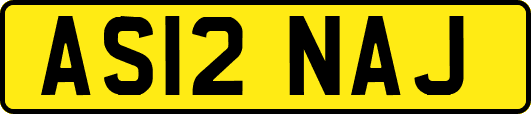 AS12NAJ