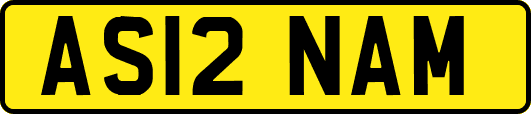 AS12NAM