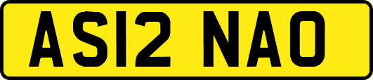 AS12NAO