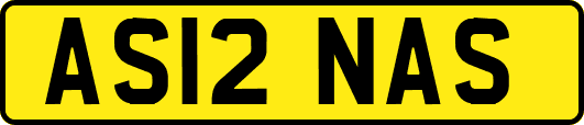 AS12NAS