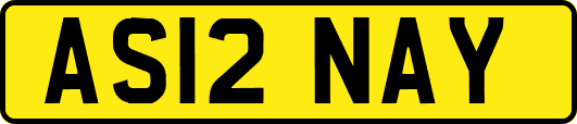 AS12NAY
