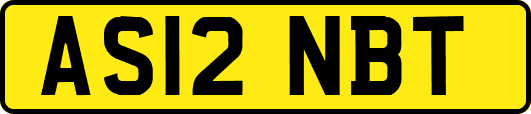 AS12NBT