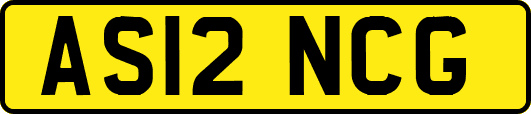 AS12NCG