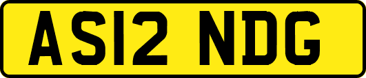 AS12NDG