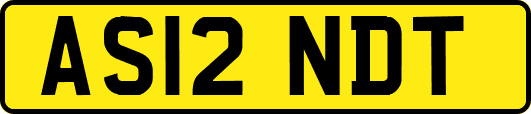 AS12NDT