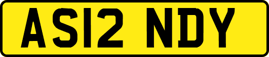 AS12NDY
