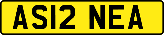 AS12NEA