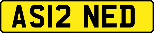 AS12NED