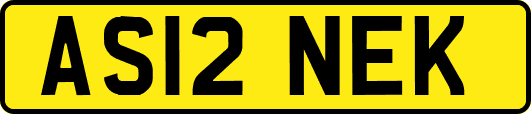AS12NEK