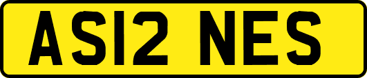 AS12NES