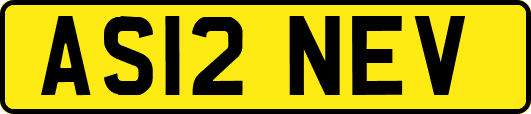 AS12NEV